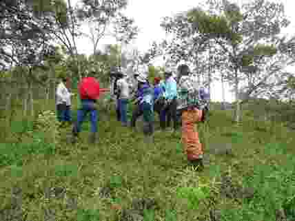 A mixed group of people stand slightly uphill from us on a lush green hillside, listening to a farmer talk, with trees rising above them